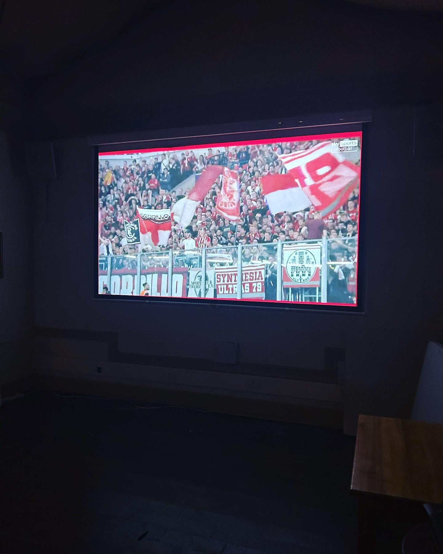 TVS & Projectors