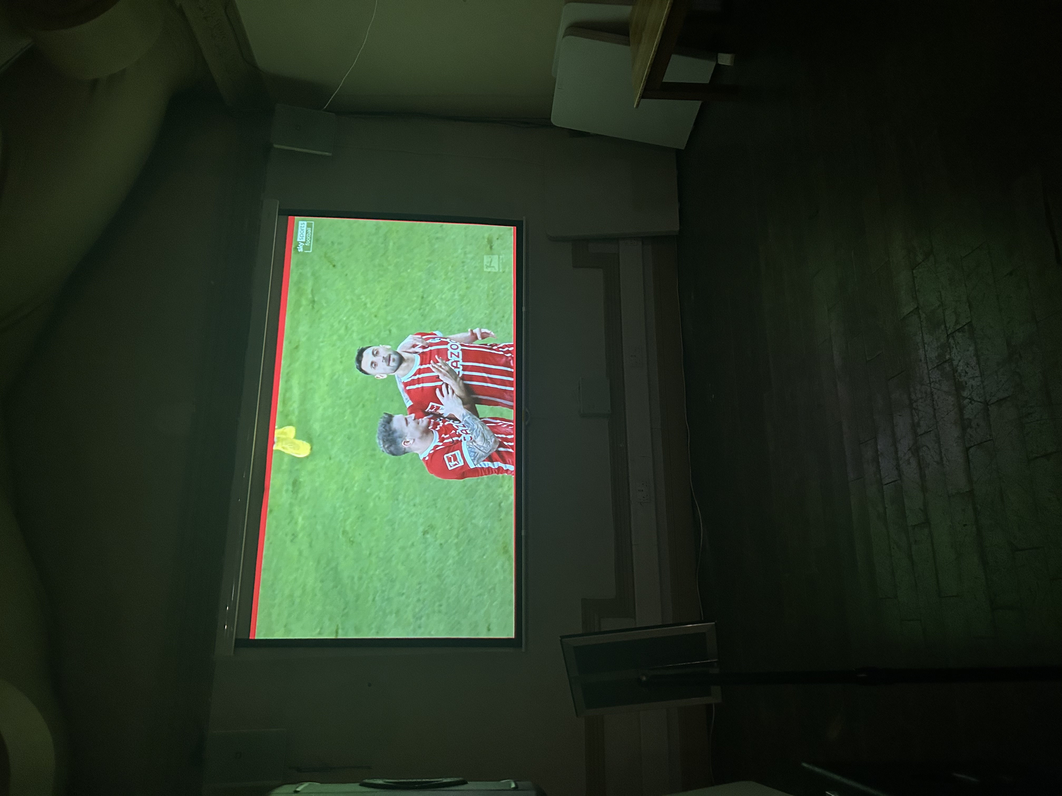 TVS & Projectors